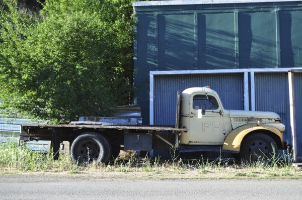 An abandoned old truck on the side of the road next to a green wall and trees, Mitchell, Oregon,