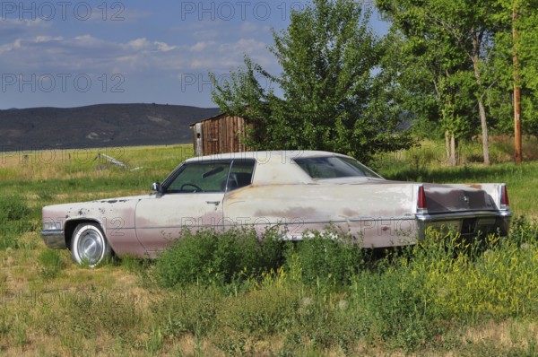 Abandoned old car, Cadillac classic car, in a meadow next to a small wooden building, Unity,