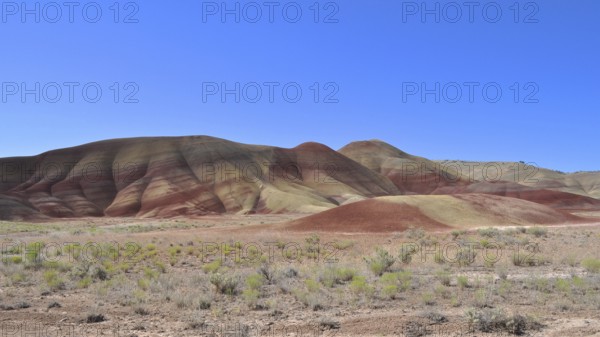 Painted Hills Landscape with Red and Yellow Hills and Clear Blue Sky, John Day Fossil Beds National