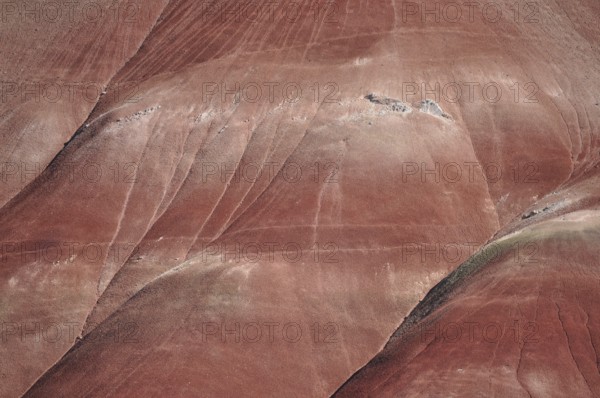 Detailed view of sediment layers and textures of a red hill in the Painted Hills, John Day Fossil