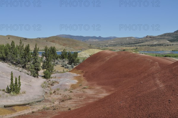 Red hills with trees and a river in a sunny landscape, John Day Fossil Beds National Monument,