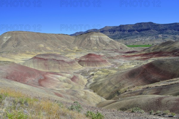 Wide landscape with multicolor hills and blue sky, John Day Fossil Beds National Monument, Painted