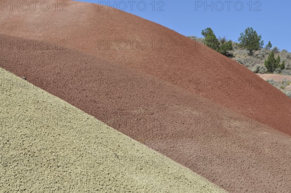 Close-up of multicolor hills with plants, John Day Fossil Beds National Monument, Painted Hills