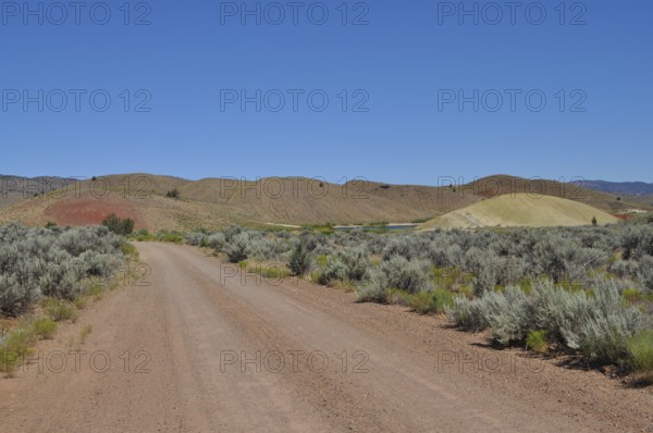 Gravel road in natural setting with hills in background, John Day Fossil Beds National Monument,