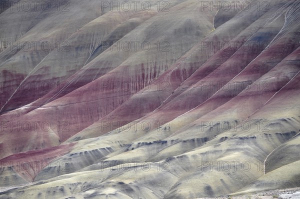 Close view of detailed, colorful striped hills with natural patterns, John Day Fossil Beds National