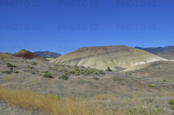 Colourful, sprawling hills under bright blue sky with dry vegetation, John Day Fossil Beds National