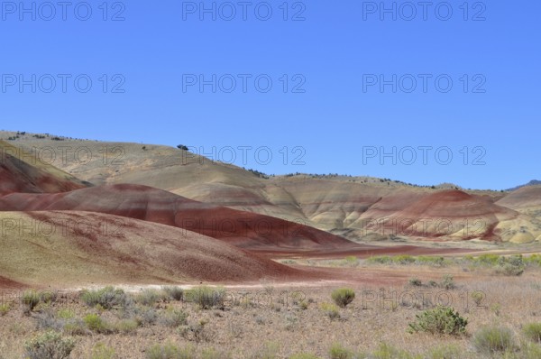 Wide landscape with red hills and sparse vegetation under blue sky, John Day Fossil Beds National