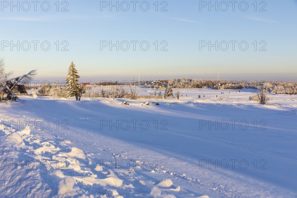 Sunny winter landscape with snow-covered trees, bushes, trails and branches covered with hoarfrost