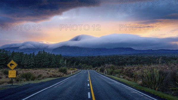 Mount Ngauruhoe in the morning at sunrise with glowing clouds, road SH 47, road sign, warning sign