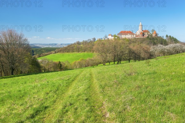 View of hilly landscape with green meadows and blooming cherry trees at Leuchtenburg in spring,