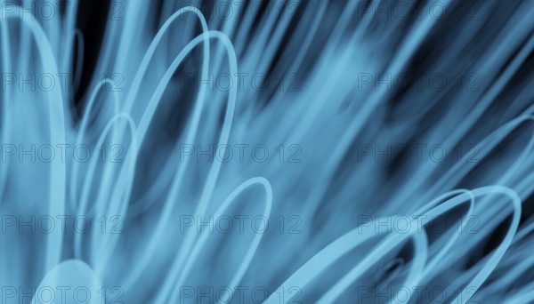 This captivating 3D render depicts an abstract background of swirling blue lines that create a
