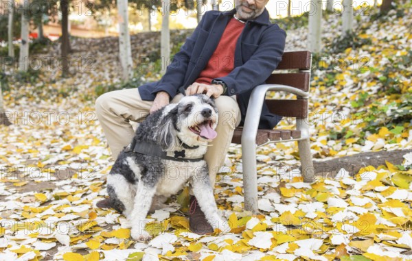 A cropped unrecognizable mature man with a beard is seen bonding with his black and white dog on a