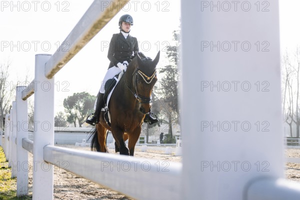 From below teenage girl dressed in classic equestrian attire performs dressage on a brown horse in