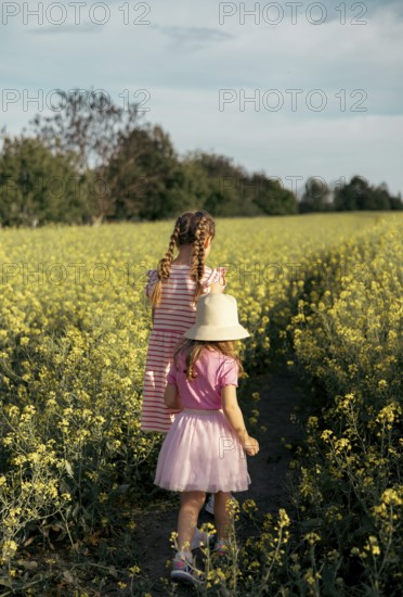 Two girls sisters play happily together in nature on a flowering field in summer