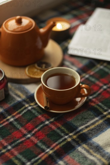 Warm and inviting scene featuring a cup of tea, teapot, and plaid blanket. Soft lighting creates a