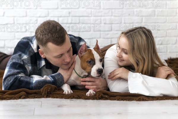 A young man and woman lovingly interact with their white and brown Staffordshire Terrier puppy dog,