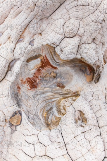 Close-up image showcasing the stunning, abstract patterns of eroded red and white rocks,