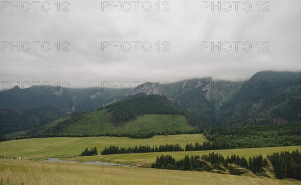 Scenic view of the verdant meadows and foggy peaks in Bachledka Ski Sun region, overlooking the