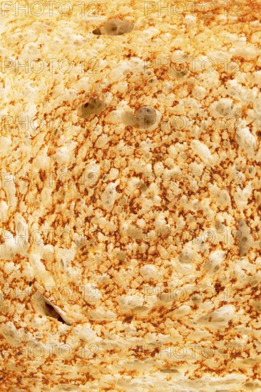 Detailed close-up of a toasted bread slice, showcasing a golden crispy crust with air pockets and