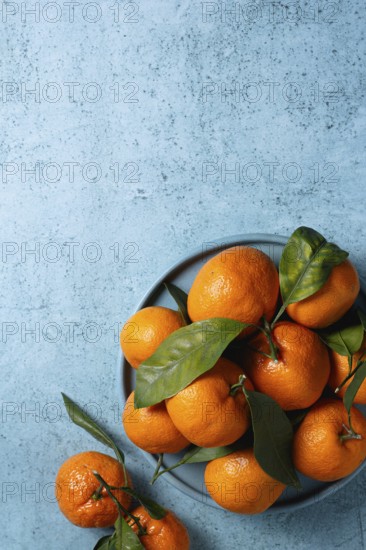 Fresh tangerines with vibrant green leaves arranged on a textured blue surface, creating a visually