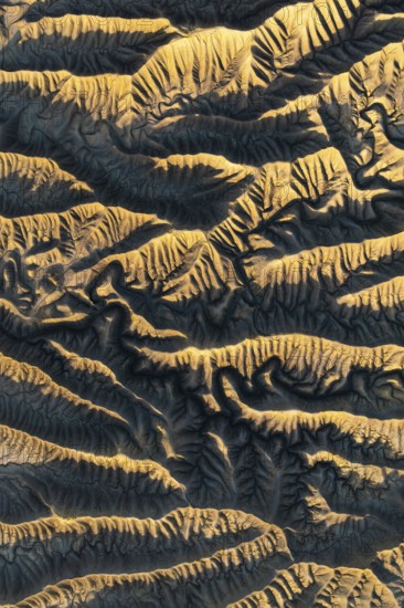 Capturing the intricate golden textures of Caineville Mesa, Utah, this aerial view reveals the