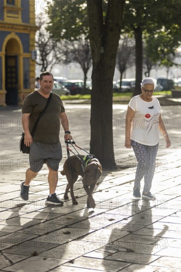 A blind man and senior woman strolls through a sunlit park with their leashed dog. The man and