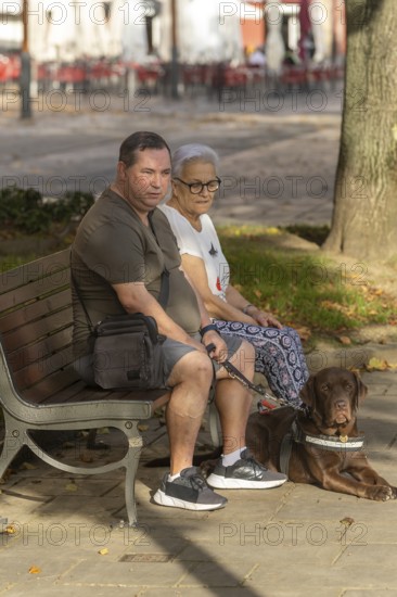 A blind man and an elderly woman sit on a park bench, enjoying the outdoors with a guide dog by