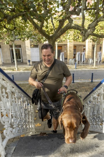 A blind man confidently walks up stairs with his guide dog on a sunny day. The scene is set in an