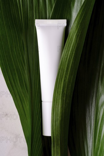 A clean and simple white cosmetic tube positioned elegantly among fresh, green tropical leaves,