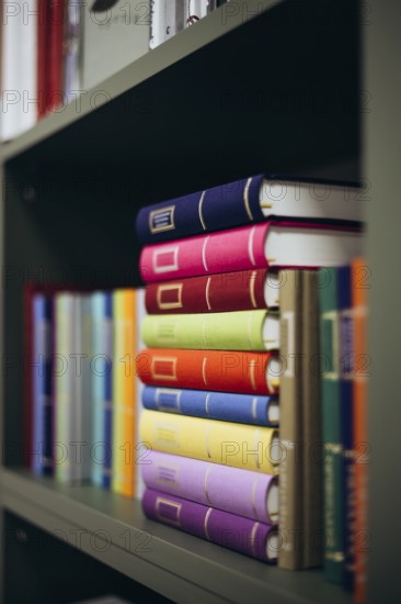 Vibrant and neatly arranged books occupy shelves in a contemporary library setting, showcasing an