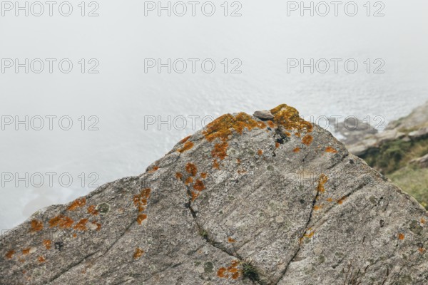 A close-up of a rocky cliffside covered in patches of orange moss in Finisterre. The cliff