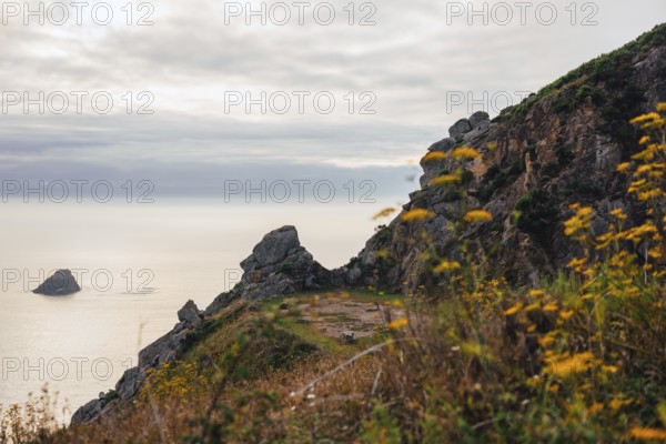 A breathtaking coastal cliff adorned with vibrant yellow wildflowers, overlooking a tranquil sea