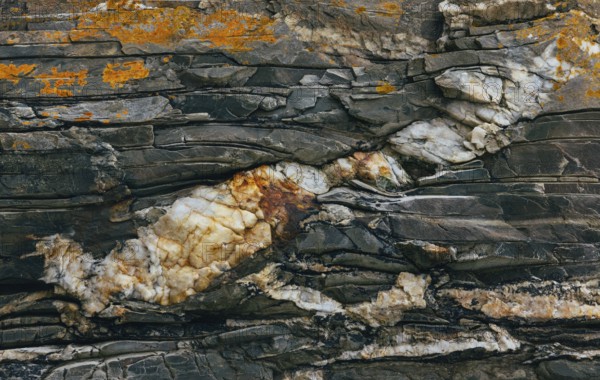 A detailed close-up of a rock surface showcasing colorful mineral deposits and intricate cracks.
