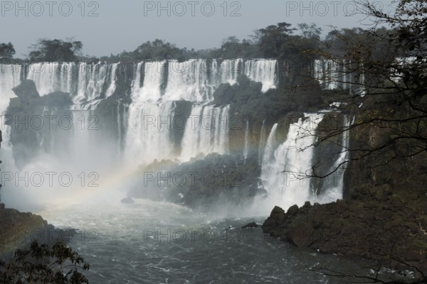 Breathtaking image capturing the powerful cascades of Iguazu Falls, surrounded by lush greenery in