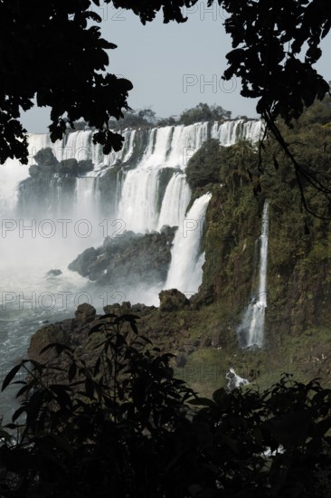Captivating photo of Iguazu Falls framed by dark foliage, showcasing multiple cascades amid verdant