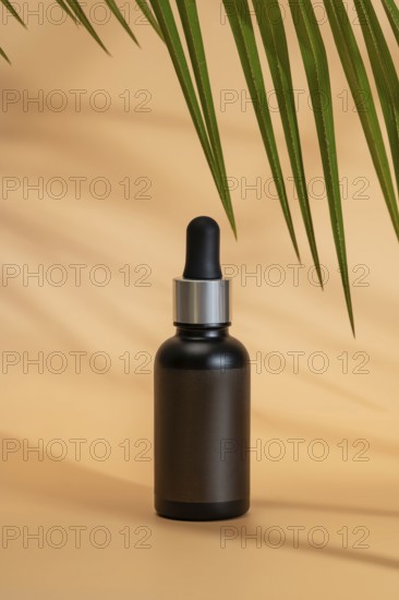 Black cosmetic dropper bottle on a beige background, with palm leaf shadows. The minimalist,
