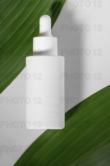 Minimalist presentation of a white dropper bottle lying on vibrant green leaves, highlighting its