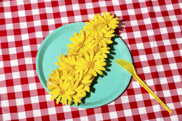 A visually striking arrangement of fresh yellow flowers on a vibrant turquoise plate set against a