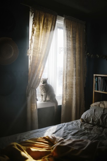 A serene bedroom scene with warm sunlight streaming through curtains, illuminating a cat sitting on