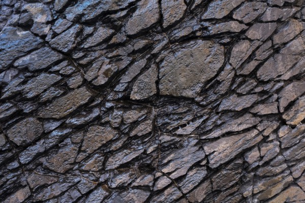 Close-up of a rugged volcanic rock surface, showcasing intricate textures and deep cracks. Captured
