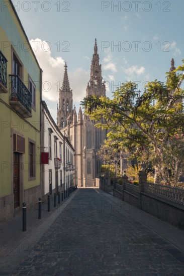 A picturesque view of a cobblestone street in Arucas, leading directly towards the towering spires
