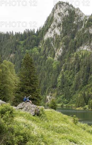 A picturesque view of Lake Taney in Switzerland, highlighting its lush green forests, a calm lake,