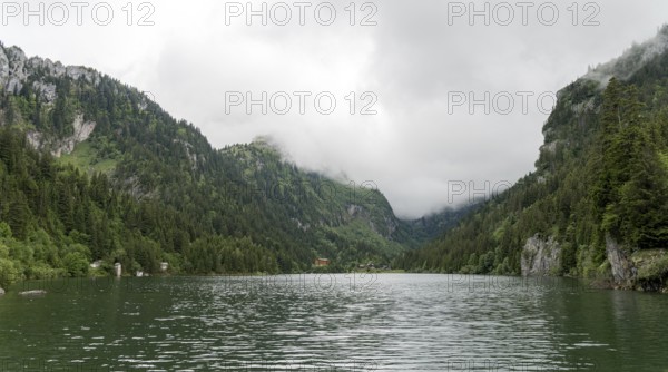 Serene view of Lac de Taney in Switzerland, enveloped by dense forests and high rocky mountains