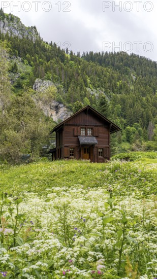 Quaint wooden cabin nestled in a vibrant meadow near Lac de Taney, Switzerland, surrounded by lush