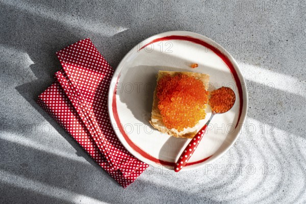 Top view of a plate with organic red trout caviar spread on a toasted slice of bread, accompanied