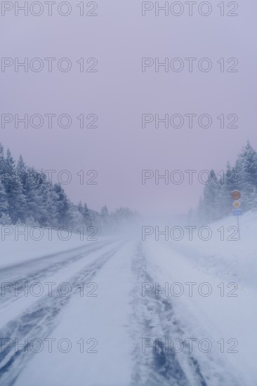 An icy road stretches through Swedish Lapland, flanked by frost-covered trees under a pale sky. The