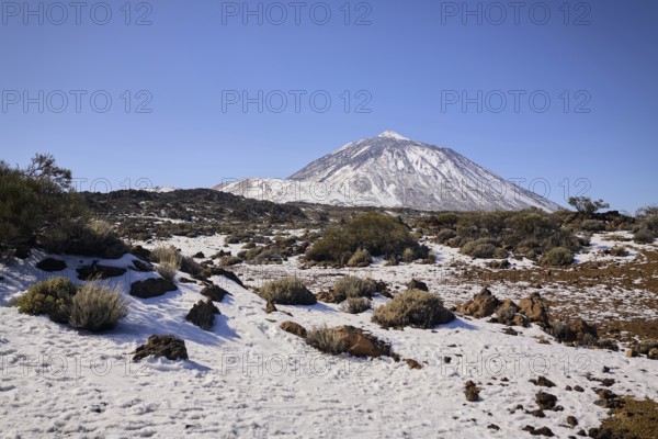 Teide covered mountain peak rises over a rugged landscape. Sparse vegetation and rocks dot the