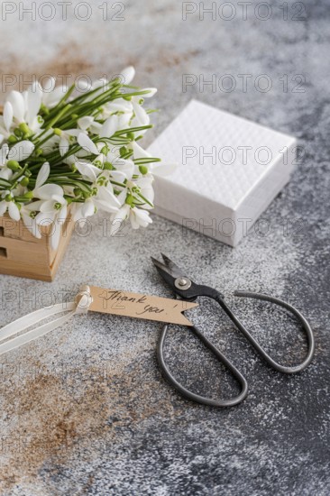 Fresh bouquet of spring snowdrops placed beside a textured white gift box and dark vintage scissors