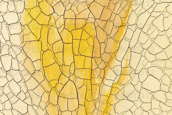 A vivid display of golden yellow and pale yellow mud cracks captured in stunning detail, presenting