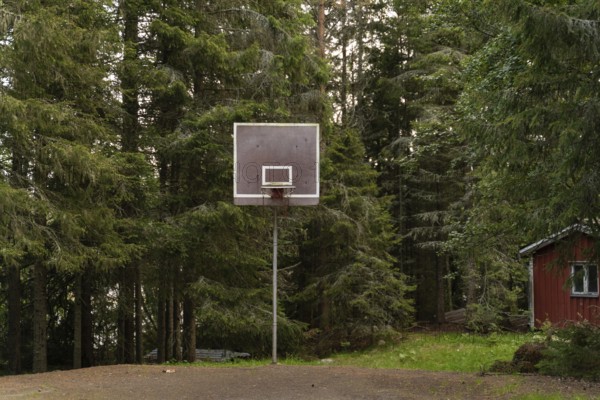A solitary basketball hoop stands amidst dense, lush forest in Sweden. The serene setting offers a